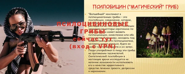 мескалин Абаза