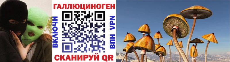 Псилоцибиновые грибы мицелий  Родники 